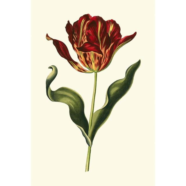 Vintage Tulips II - Wrapped Canvas Art Prints Marlow Home Co. Size: 122cm H x 81cm W x 3.8cm D on Productcaster.