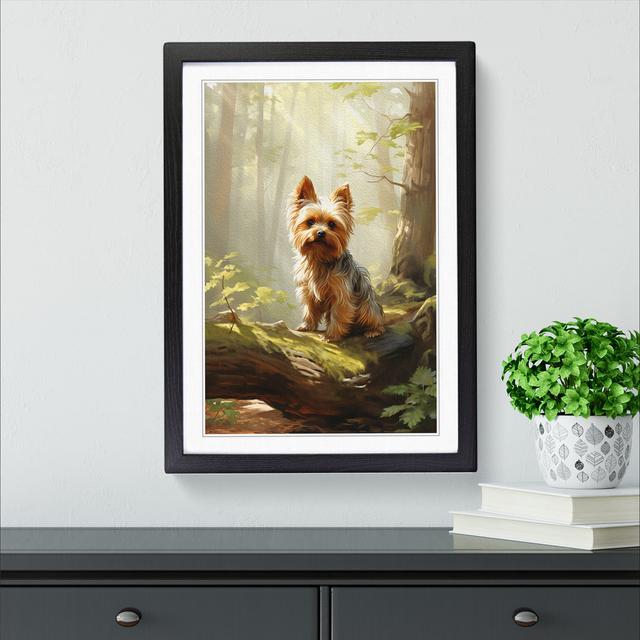 Yorkshire Terrier Informel - Single Picture Frame Print on Wood Marlow Home Co. Size: 34cm H x 25cm W x 2cm D, Frame Colour: Black on Productcaster.