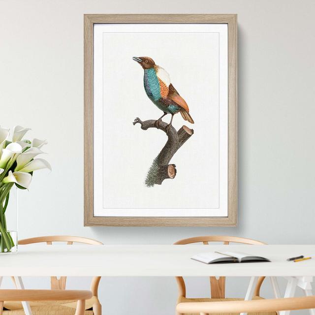 Magnificent Bird of Paradise by Jacques Barraband - Picture Frame Painting Print East Urban Home Frame Option: Oak Framed, Size: 36cm H x 27cm W x 2cm on Productcaster.