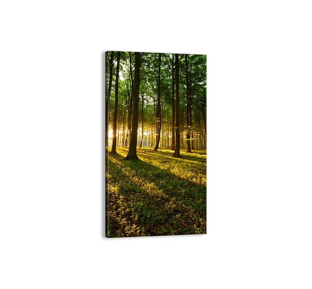 A Photo of All Springs - Unframed Photograph Print on Canvas Union Rustic Size: 120cm H x 65cm W x 1.8cm D on Productcaster.