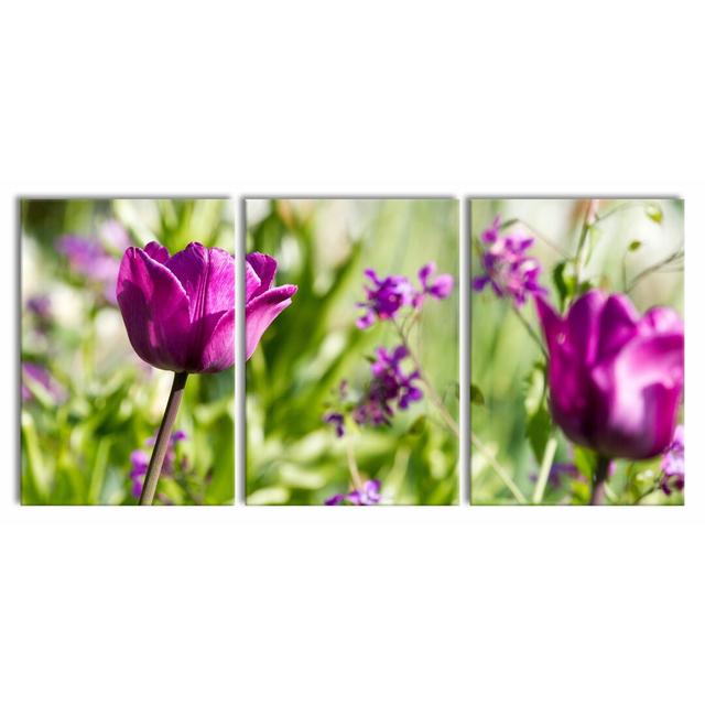 Flowers in the Sunshine 3-Piece Photograph Set on Canvas East Urban Home Size: 100 cm H x 210 cm W on Productcaster.