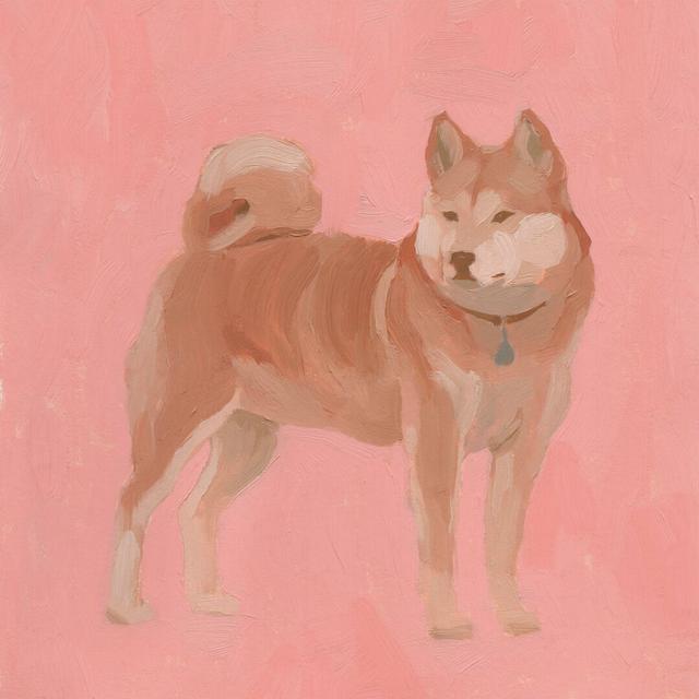 Shiba Inu I by Jacob Green - Wrapped Canvas Painting Rosalind Wheeler Size: 91cm H x 91cm W x 3.8cm D on Productcaster.