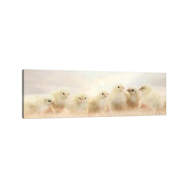 Spring Line Up by Lori Deiter - Wrapped Canvas Panoramic Photograph August Grove Size: 30.48cm H x 91.44cm W x 3.81cm D on Productcaster.