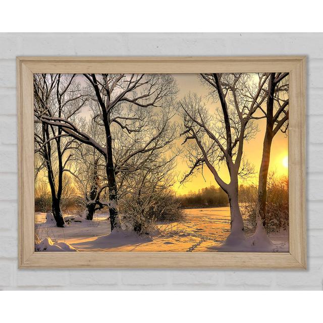 Footsteps In Snow - Single Picture Frame Art Prints Ophelia & Co. Size: 42cm H x 59.7cm W x 1.5cm D on Productcaster.