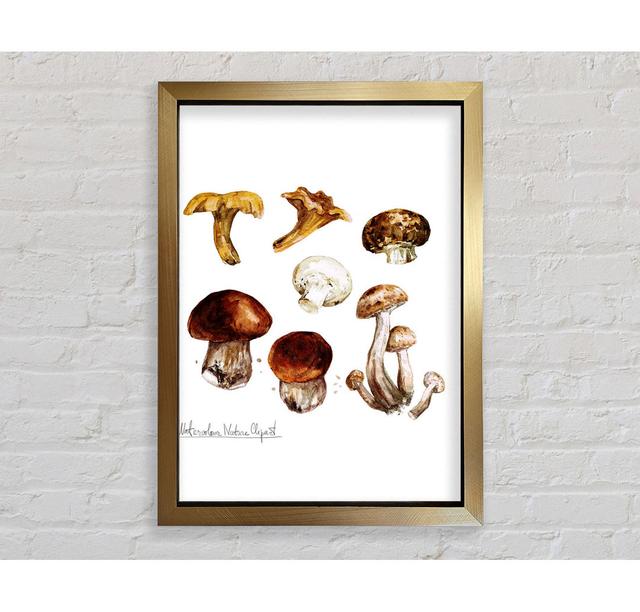 Different Types Of Mushrooms - Single Picture Frame Art Prints Bright Star Size: 59.7cm H x 42cm W on Productcaster.