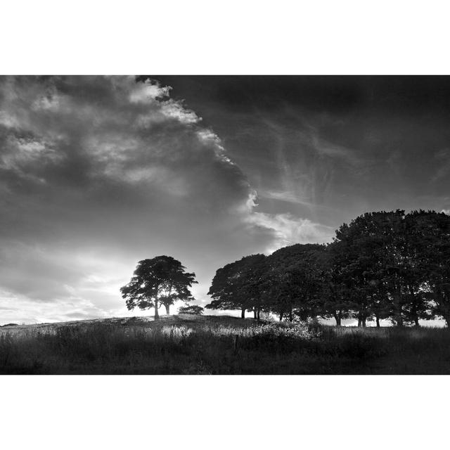 Touched by Sunlight by Martin Henson - Wrapped Canvas Photograph Union Rustic Size: 30cm H x 46cm W x 3.8cm D on Productcaster.