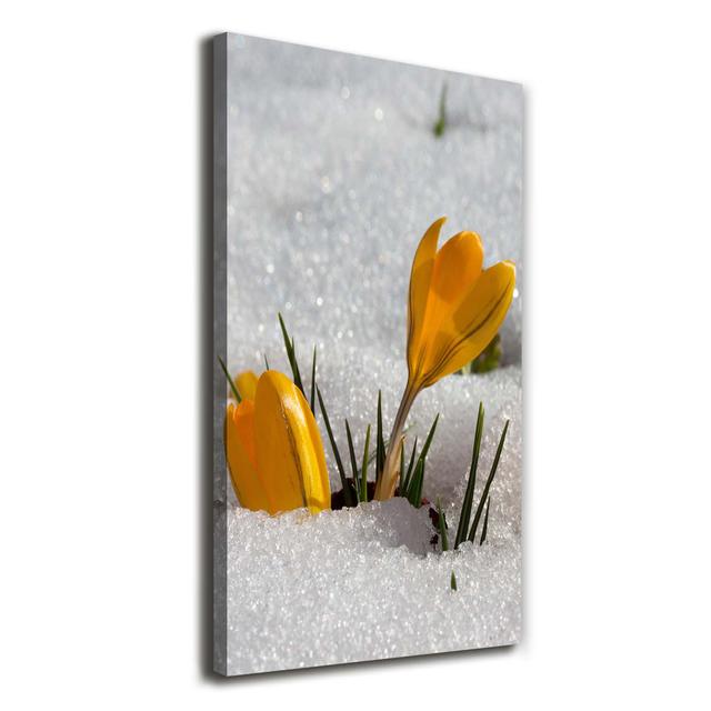 Gelbe Krokusse - Wrapped Canvas Kunstdruck Ebern Designs on Productcaster.