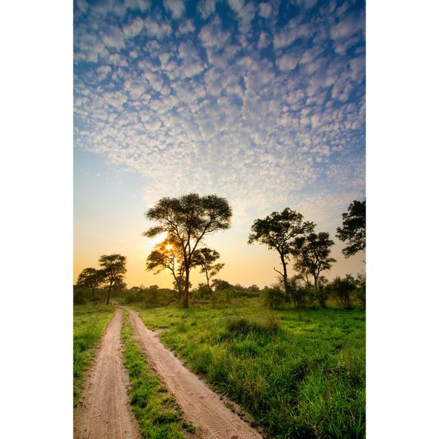 Savanna Dirt Road by VilliersSteyn - Wrapped Canvas Print Ebern Designs Size: 46cm H x 30cm W x 3.8cm D on Productcaster.