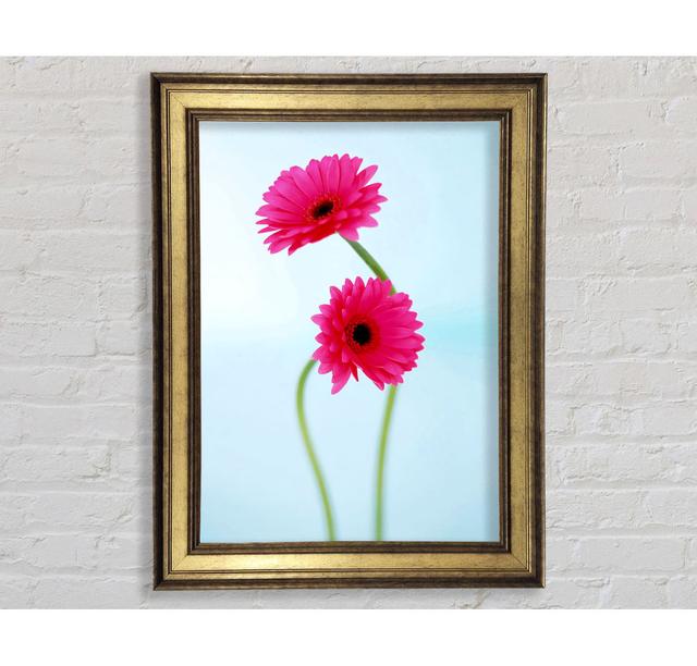 Cerise Daisy Duo On Blue - Single Picture Frame Art Prints Bright Star Size: 42cm H x 21cm W x 8cm D on Productcaster.