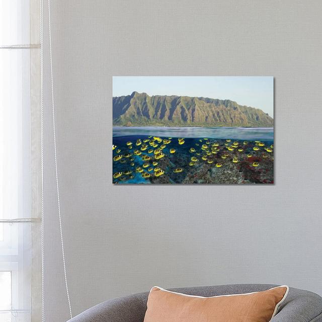 Digital Split Image Of Schooling Raccoon Butterflyfish Off Oahu - Wrapped Canvas Print Alpen Home Size: 45.72cm H x 66.04cm W x 3.81cm D on Productcaster.