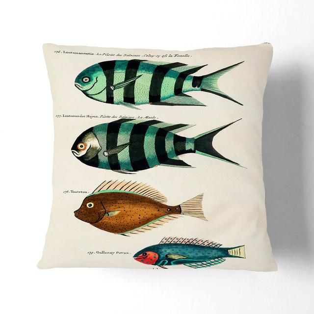 East Indies Fish Illustrations Fol. 33 by Louis Renard Cushion with Filling East Urban Home Size: 55cm H x 55cm W x 20cm D, Backing Colour: White on Productcaster.