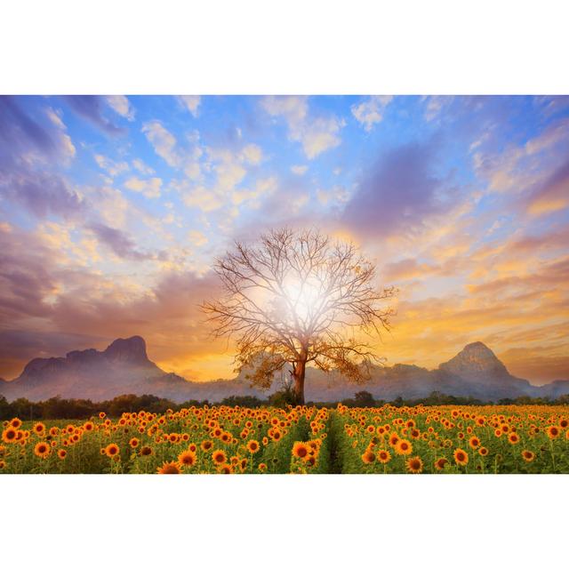 Sunflower Field and Sun Shining by Suriyasilsaksom - Wrapped Canvas Photograph Brambly Cottage Size: 61cm H x 91cm W on Productcaster.