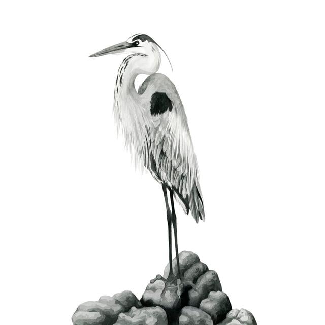 Shoreline Heron In B&W II Highland Dunes Size: 46cm H x 30cm W on Productcaster.