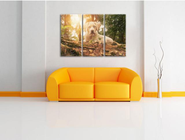 3-tlg. Leinwandbilder-Set „Hund im Wald bei Sonneuntergang“, Grafikdruck East Urban Home on Productcaster.