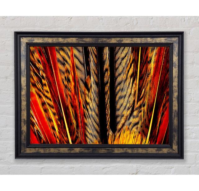 Blazing Feathers - Single Picture Frame Art Prints Bright Star Size: 84.1cm H x 142.2cm W x 8cm D on Productcaster.