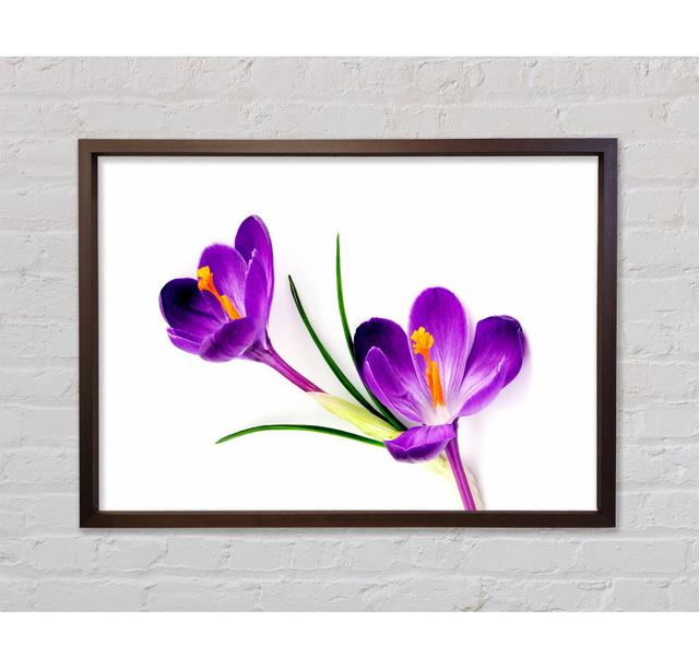 In Bloom - Single Picture Frame Art Prints on Canvas Bright Star Size: 100cm H x 141.4cm W x 3.3cm D on Productcaster.