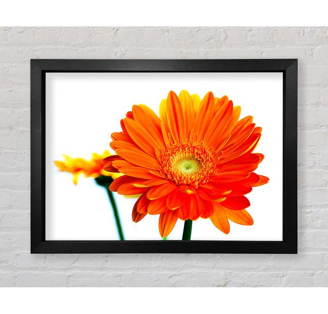 Orange Flames - Single Picture Frame Art Prints Bright Star Size: 59.1cm H x 84.1cm W x 3.4cm D on Productcaster.