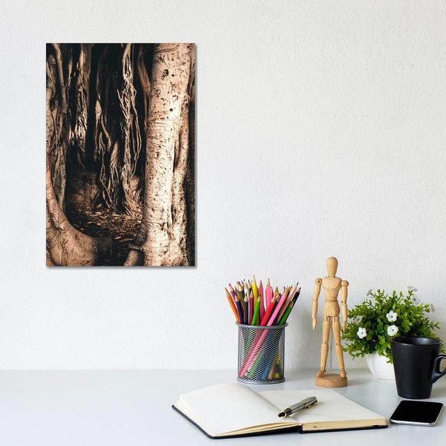 Aerial Roots by Florian Schleinig - Wrapped Canvas Painting Alpen Home Size: 30.48cm H x 20.32cm W x 1.91cm D on Productcaster.