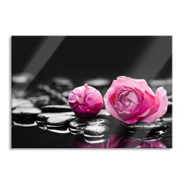 Pink Rose Blossoms on Zen Stones - Unframed Graphic Art on Glass Brayden Studio Size: 60cm H x 80cm W x 0.4cm D on Productcaster.