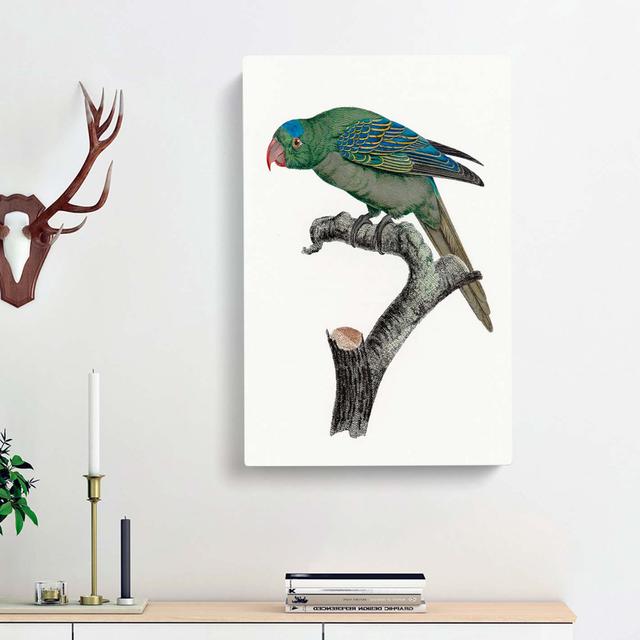 Blue-Naped Parrot by F. Levaillant - Wrapped Canvas Painting Print East Urban Home Size: 76cm H x 50cm W x 3cm D on Productcaster.