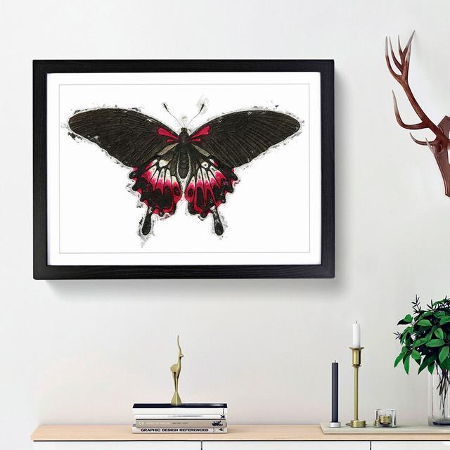 Swallow-Tailed Butterfly by George Shaw - Picture Frame Painting Print East Urban Home Frame Option: Black Framed, Size: 48cm H x 65cm W x 2cm D on Productcaster.