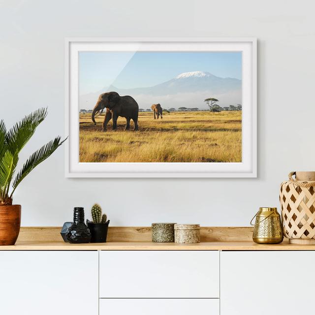 Gerahmtes Papierbild Elefanten vor dem Kilimanjaro in Kenia East Urban Home Rahmenoptionen: Mattes Mattes Weiß, Größe: 70 cm H x 100 cm B on Productcaster.