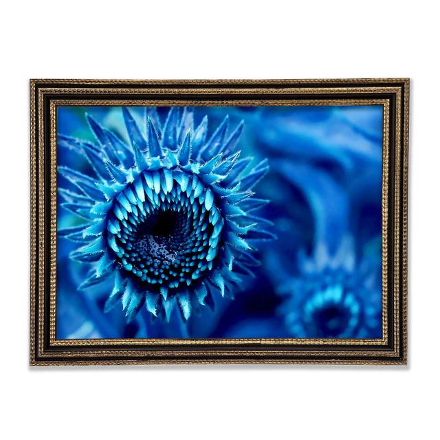 Single Picture Frame Art Prints Ebern Designs Size: 59.7cm H x 84.1cm W x 3cm D on Productcaster.