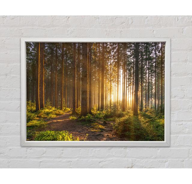 Sunset Through the British Trees Union Rustic Size: 59.7cm H x 84.1cm W x 3.3cm D, Format: White Framed Canvas on Productcaster.