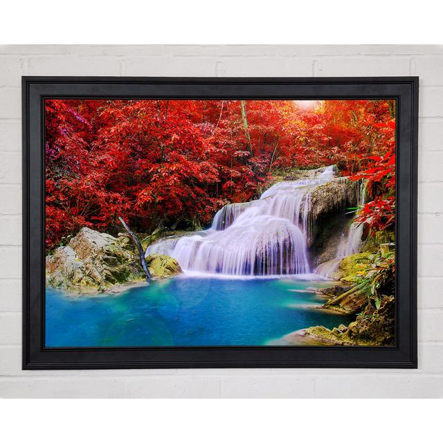 Red Tree Delight Framed Print Union Rustic Size: 21cm H x 29.7cm W x 1.5cm D on Productcaster.