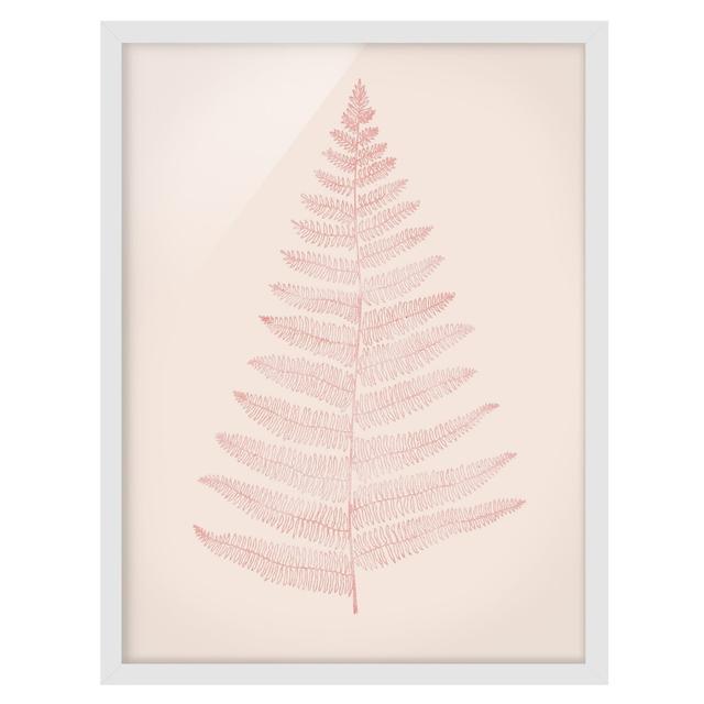 Fern Pale Pink - Picture Frame Graphic Art Bay Isle Home Frame Option: White Framed, Size: 55cm H x 40cm W x 2cm D on Productcaster.