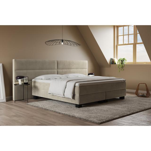 Boxspringbett Giulia mit Premium Visco Topper, mit Samtstoff bezogen Canora Grey Matratzenhärte: H2 - bis zu ca. 75 kg / H4 - ab ca. 100 kg, Größe: 16 on Productcaster.