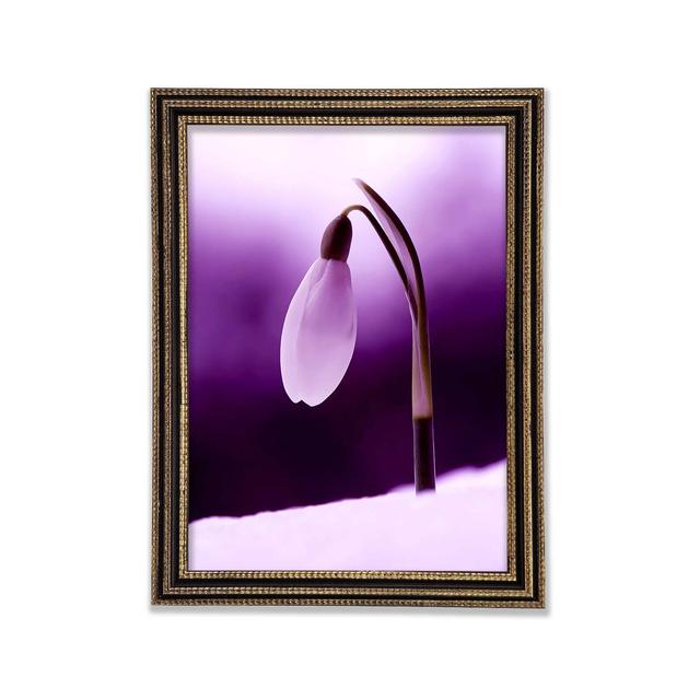 Single Picture Frame Art Prints Ebern Designs Size: 42cm H x 59.7cm W on Productcaster.