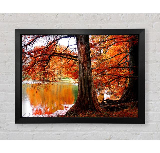 Autumn Orange River Reflections - Single Picture Frame Art Prints Ebern Designs Size: 59.7cm H x 84.1cm W on Productcaster.