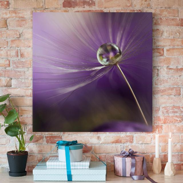 12973/Squared/Wall Art - Dandelion in Violet Ebern Designs Size: 80cm H x 80cm W on Productcaster.