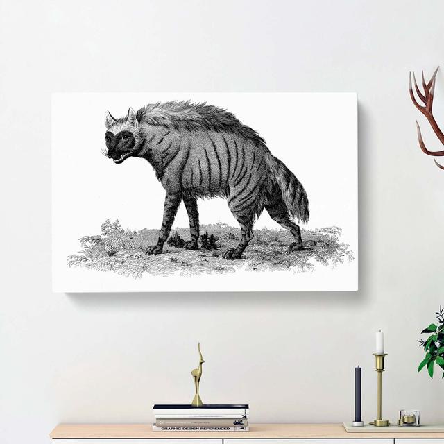 Striped Hyena in Black and White by George Shaw - Wrapped Canvas Drawing Print East Urban Home Size: 50cm H x 76cm W x 3cm D on Productcaster.