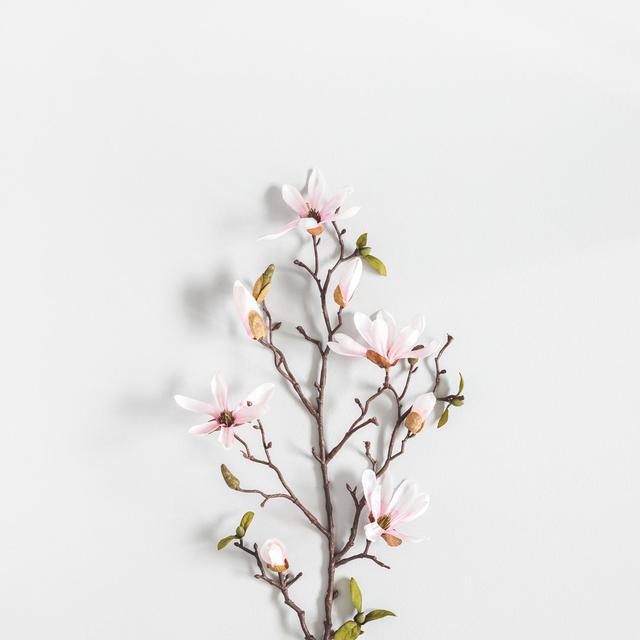 Magnolia Flowers 17 Stories Size: 30cm H x 46cm W on Productcaster.