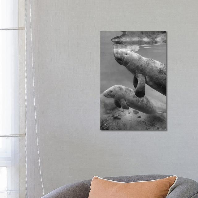 West Indian Manatee Mother And Calf, Crystal River, Florida TFI1828 House of Hampton Size: 66.04cm H x 45.72cm W x 3.81cm D on Productcaster.