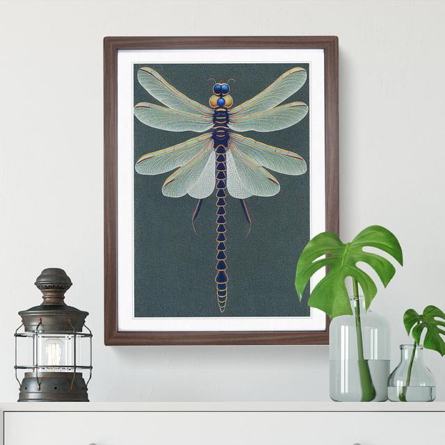 XV1022-2571X Legendary Dragonfly - Single Picture Frame Print Brambly Cottage Size: 46cm H x 34cm W x 2cm D, Frame Colour: Walnut on Productcaster.