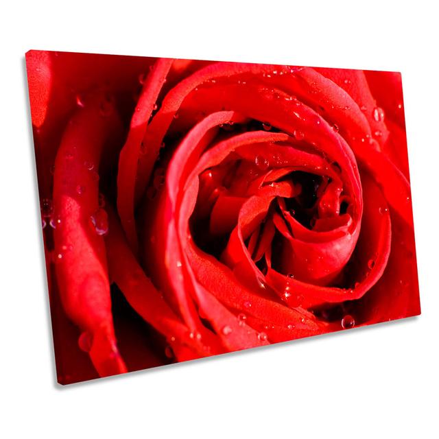 Red Rose Flower Floral Wrapped Canvas Art Print Canora Grey Size: 30.5cm H x 45.7cm W on Productcaster.