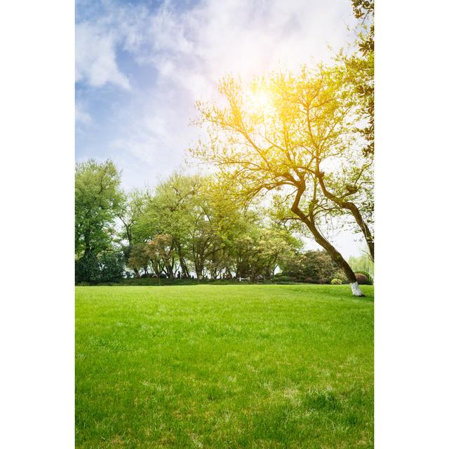 The Beautiful Green Lawn In The Spring Park - Wrapped Canvas Print Ebern Designs Size: 46Cm H x 30Cm W on Productcaster.