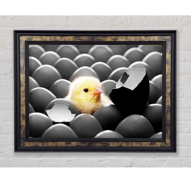 Chick Hatching - Single Picture Frame Art Prints Bright Star Size: 100cm H x 141.4cm W x 8cm D on Productcaster.