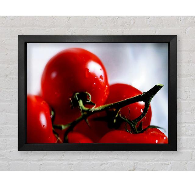 Cherry Tomato Vine - Single Picture Frame Art Prints Bright Star Size: 42cm H x 59.7cm W x 3.4cm D on Productcaster.