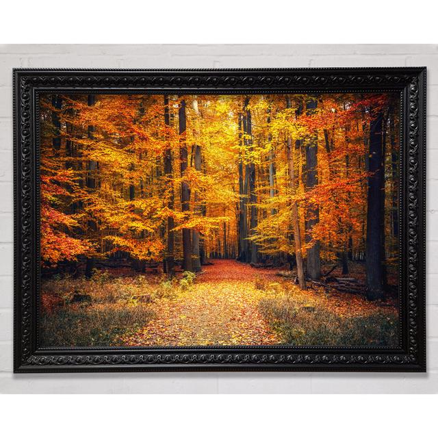 Orange Woods In The Autumn - Print Union Rustic Format: Black Framed Paper, Size: 100cm H x 141.4cm W x 3cm D on Productcaster.