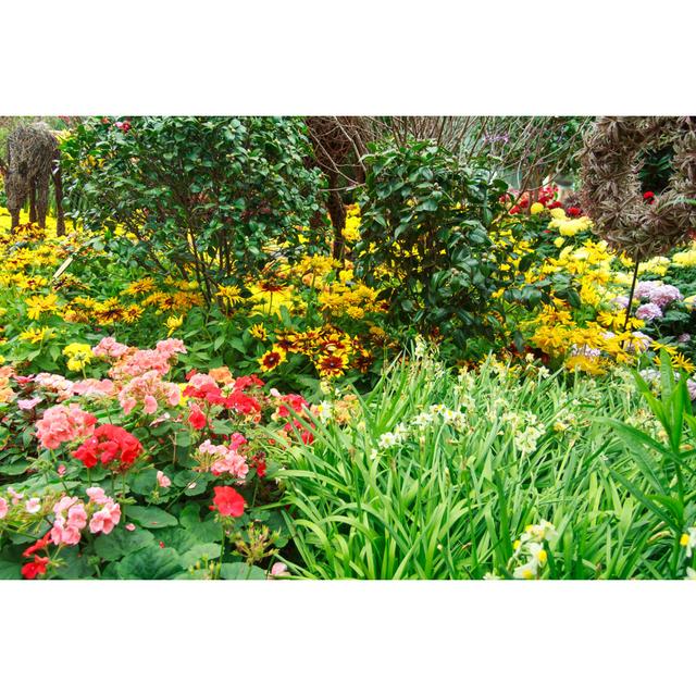 Colourful Flower Garden by Twilightshow - Wrapped Canvas Photograph Latitude Run Size: 51cm H x 76cm W on Productcaster.