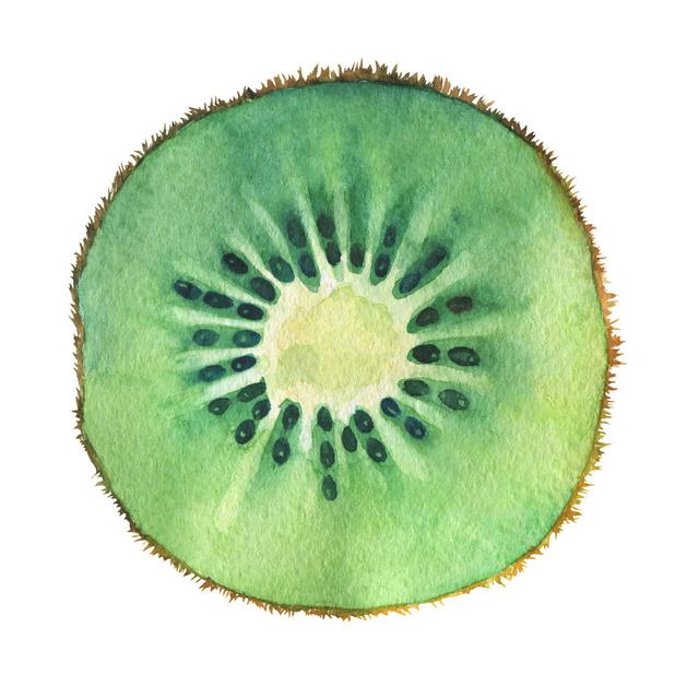 Slice Of Fresh Kiwi Fruit von Arxichtu4ki - Leinwanddrucke ClassicLiving Größe: 61 cm H x 91 cm B x 3,8 cm T on Productcaster.