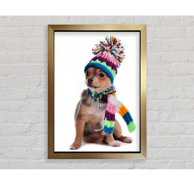 Chihuahua Dog Dressed For Winter - Single Picture Frame Art Prints Bright Star Size: 118.9cm H x 84.1cm W x 3.4cm D on Productcaster.