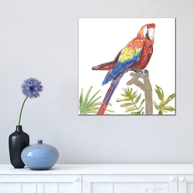 Tropical Parrot by Bannarot - Wrapped Canvas Gallery-Wrapped Canvas Giclée 17 Stories Size: 45.72cm H x 45.72cm W x 1.91cm D on Productcaster.