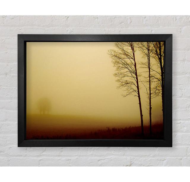 Naked Trees - Single Picture Frame Art Prints Bright Star Size: 42cm H x 59.7cm W x 3.4cm D on Productcaster.