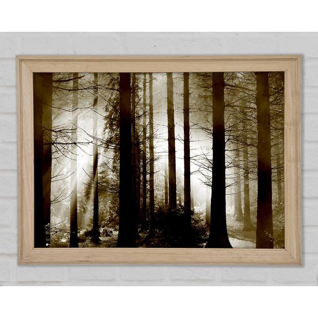 Secret Forrest - Print Union Rustic Size: 29.7cm H x 42cm W x 1.5cm D on Productcaster.