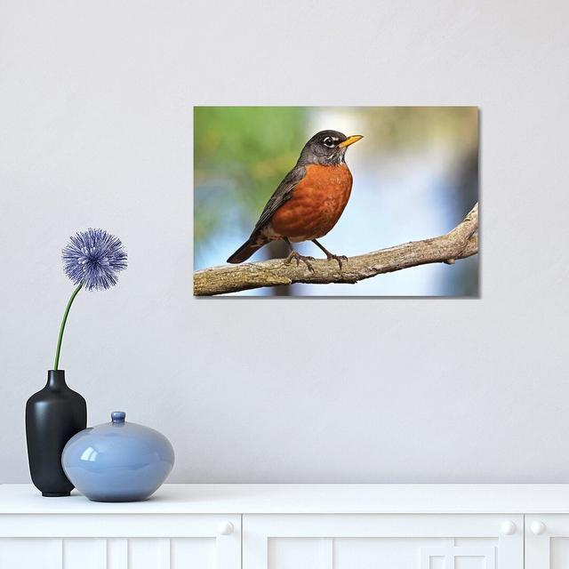 Robin Redbreast by Brian Wolf - Wrapped Canvas Gallery-Wrapped Canvas Giclée Ebern Designs Size: 30.48cm H x 45.72cm W x 1.91cm D on Productcaster.